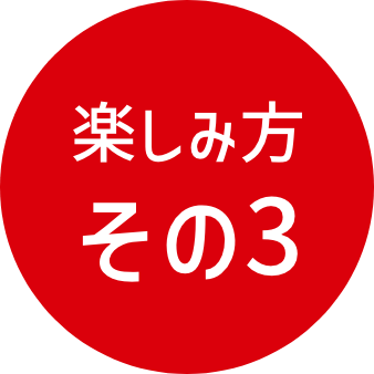 楽しみ方 その3